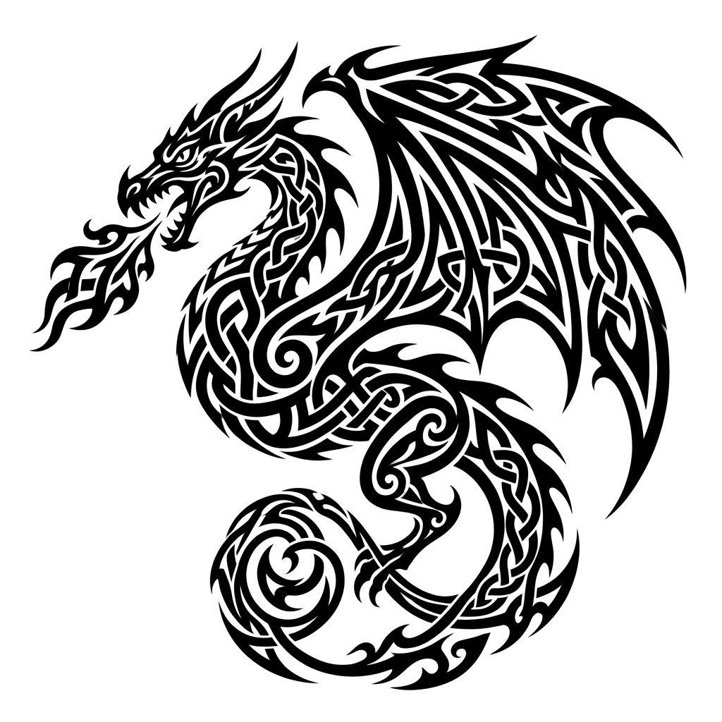 idée tatouage dragon dragon celtique tribal, design sur fond blanc